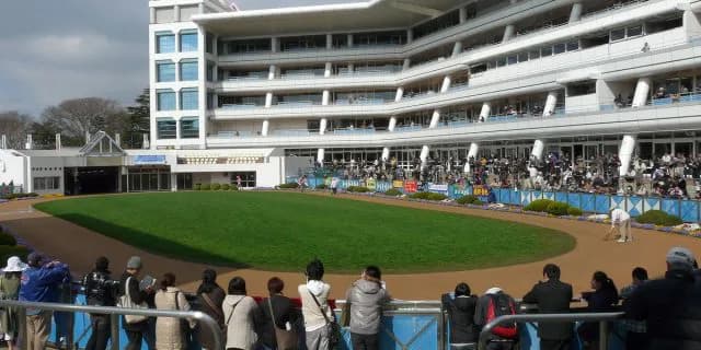 【京成杯AH予想2022】秋の開幕戦!ファルコニアやミスニューヨークなど出走予定馬を考察