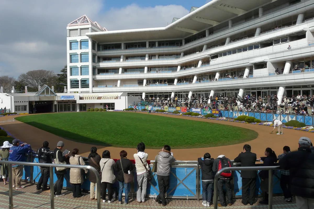 【オーシャンステークス予想2026】G1高松宮記念へのステップ!ママコチャやファンダムなど出走予定馬を考察
