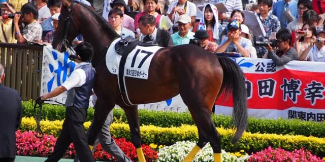 キタサンブラック種付け料は500万。生産者の評価は意外にも低い?