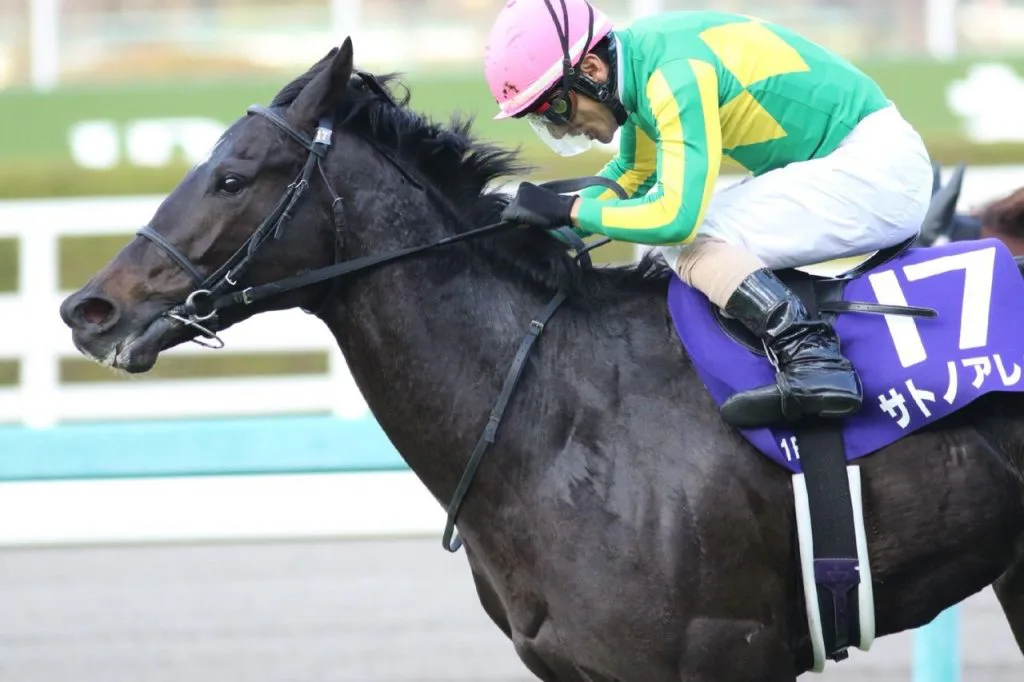 【富士S予想2017】皐月賞2着馬より格上の穴馬とは?