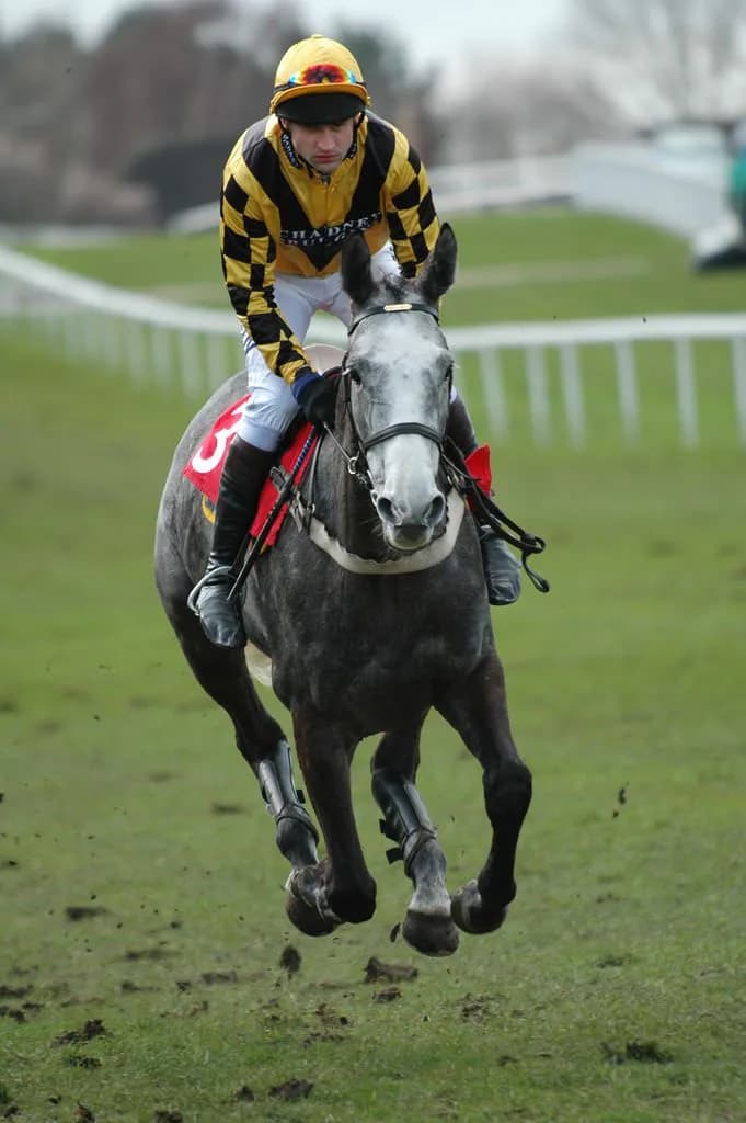 落馬した時、ジョッキーは何を思うのか?