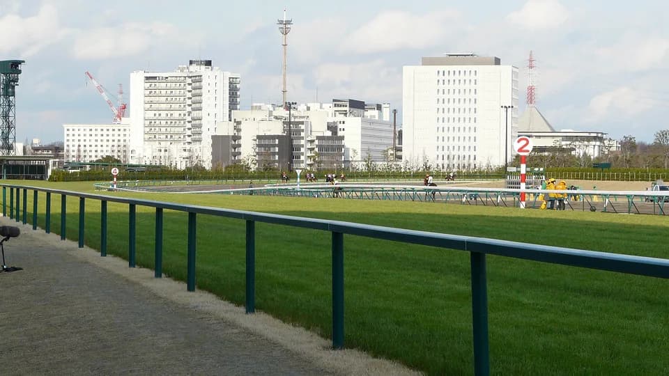 【愛知杯2017予想】危険な人気馬?クリノラホールに立ちはだかる2つの壁