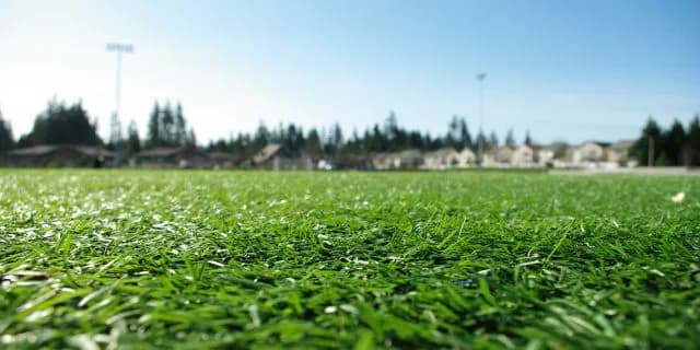 【函館2歳S2017】今年初の2歳重賞!有力馬3頭を徹底考察!