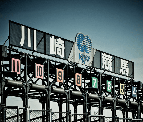 【川崎記念2017】出走予定馬決定!JRAからはサウンドトゥルーら6頭が出走