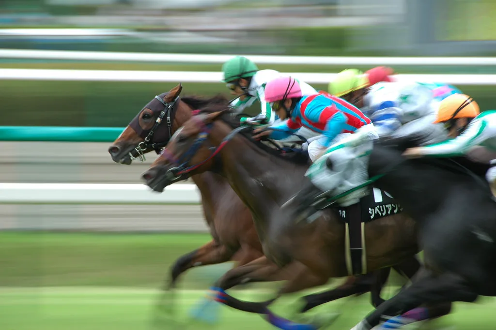 【チューリップ賞2017予想】ソウルスターリング vs リスグラシュー!2頭のほぼ一騎打ちムード