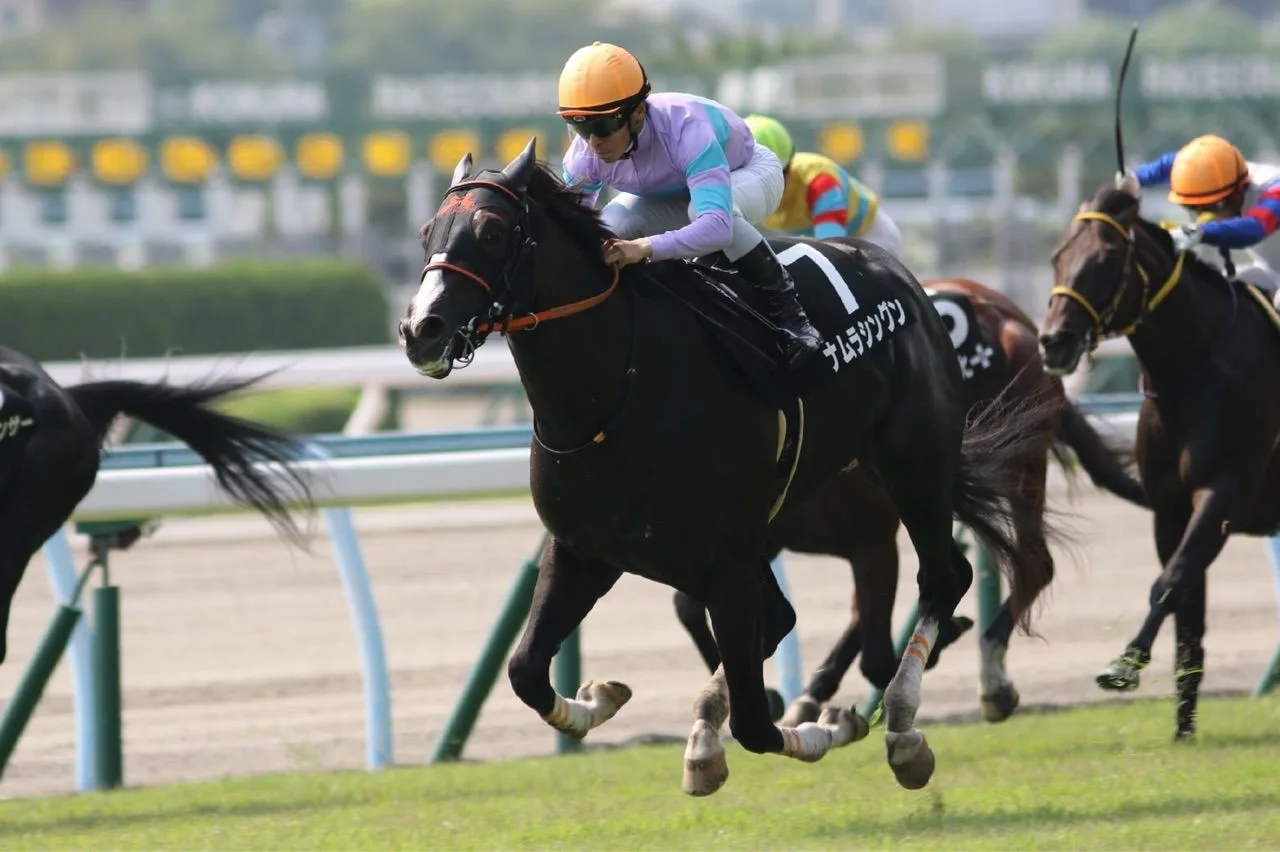 【飛鳥S予想2017】○○の兄とは呼ばれないためにも結果が欲しい!
