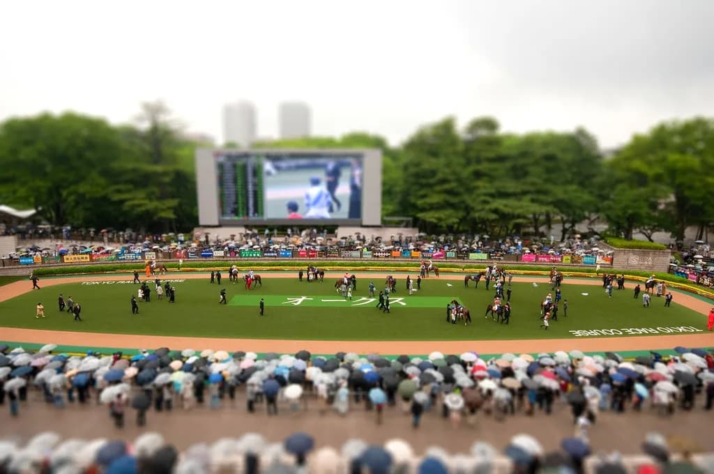 【府中牝馬ステークス予想2025】セキトバイーストやフィールシンパシーなど出走予定馬を考察
