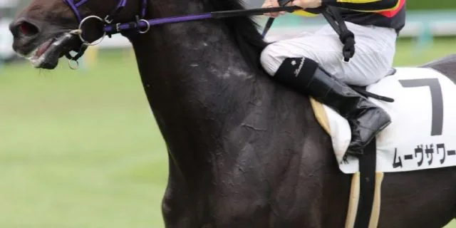 【共同通信杯2017予想】勝負のカギを握るのは”成長力”