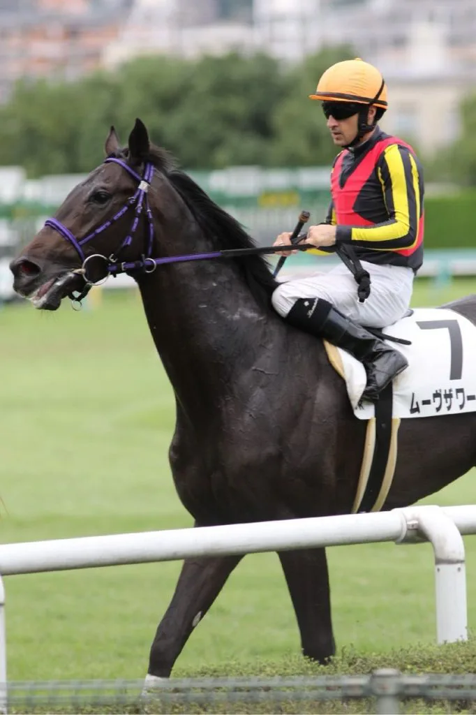 【共同通信杯2017予想】勝負のカギを握るのは”成長力”