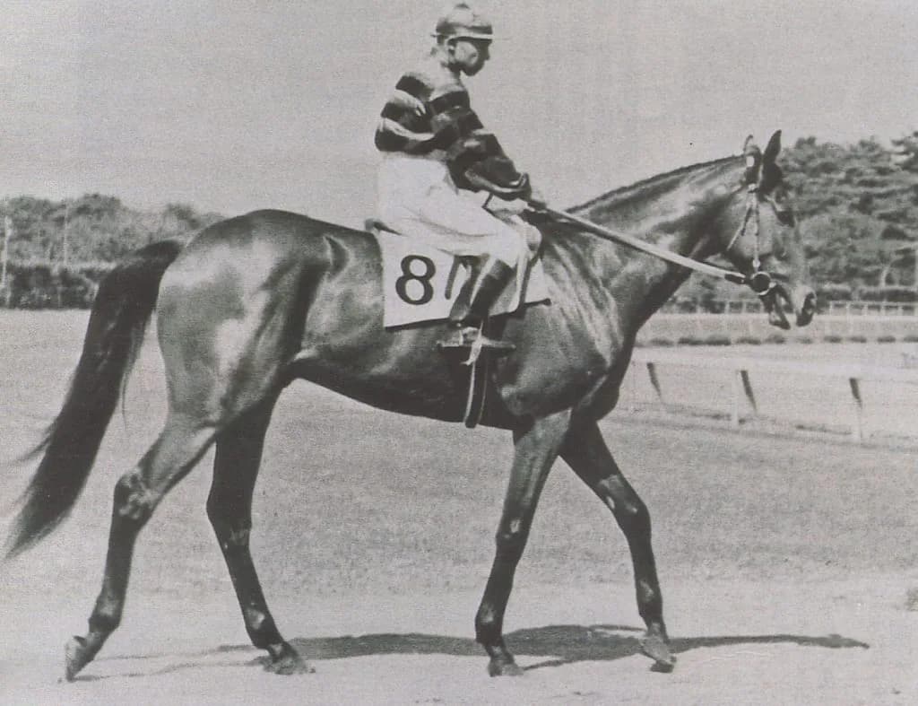 【共同通信杯2017注目馬】同期活躍の波に乗る?石川裕紀人騎乗のアサギリジョー