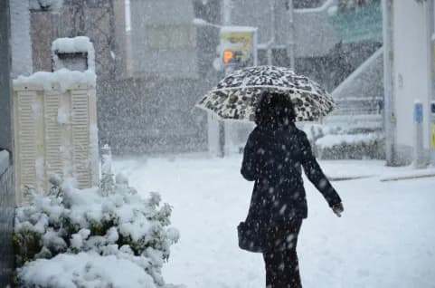 本日は小倉中止、明日12日の京都記念も前日発売は取り止めに