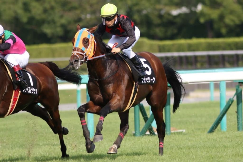 【東京新聞杯2017有力馬】東京芝1600なら逆転があるブラックムーン!
