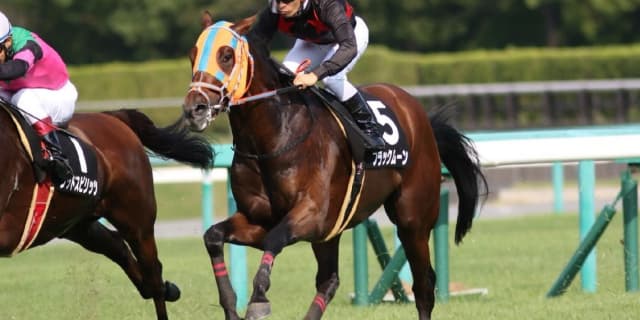 【東京新聞杯2017有力馬】東京芝1600なら逆転があるブラックムーン!