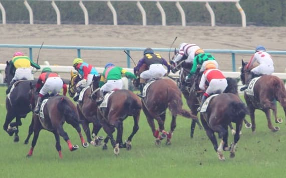 【アーリントンC予想2017】有力馬3頭考察!クラシックを賑わせるのはどの馬だ?