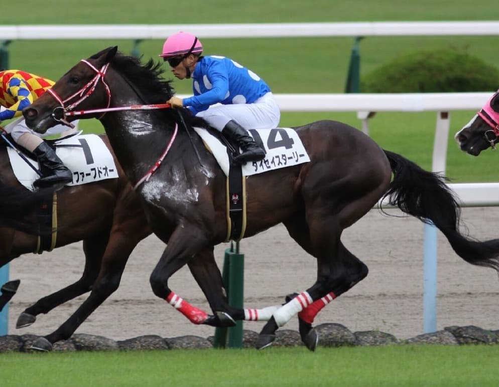 【共同通信杯2017予想】本命は”本当に強い末脚”を秘めたあの馬・・・?!