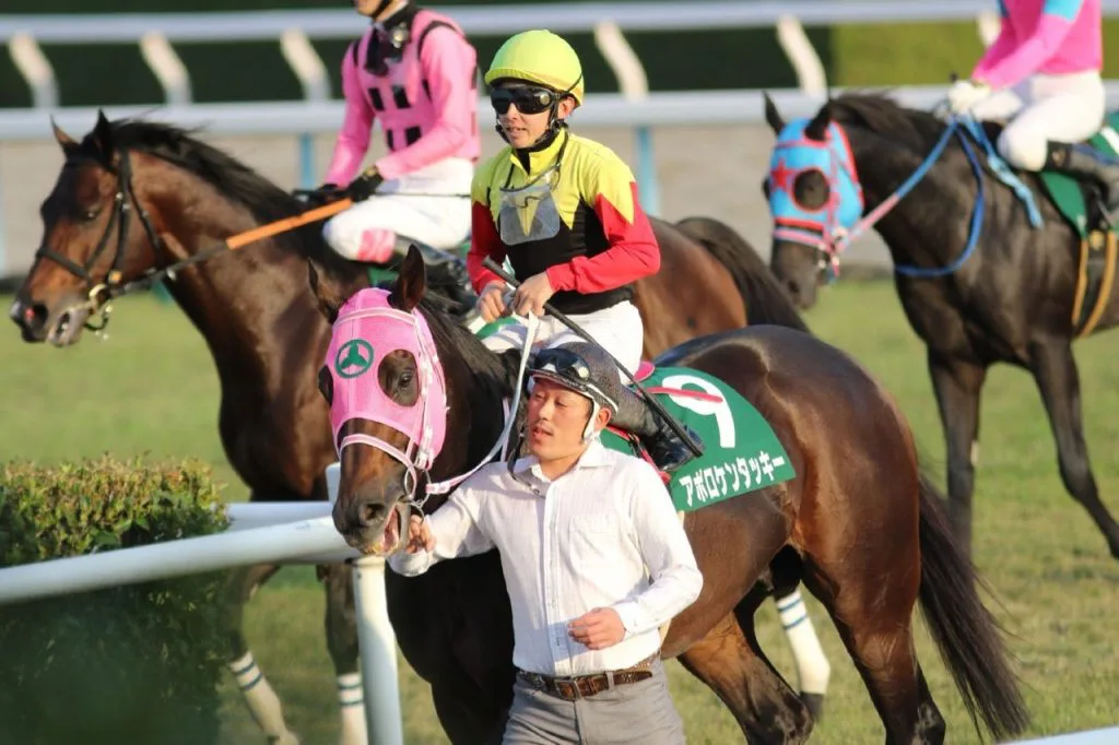 【東京大賞典2018予想】人気急落中のアポロケンタッキー、今回は好走の番か?