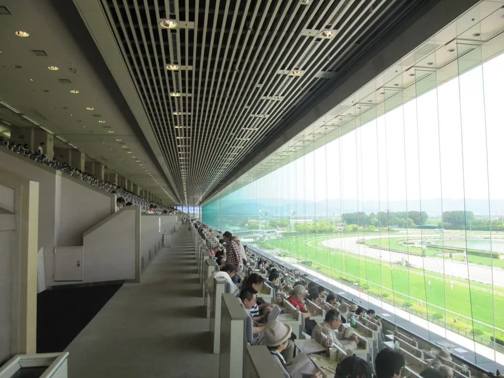 JRAジャパンCの指定席に5万人が応募