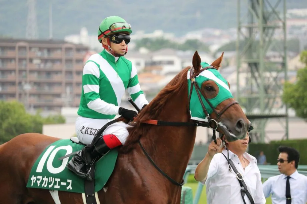 【有馬記念2017予想】昨年の経験を活かし、ヤマカツエースが池添騎手に有馬記念4勝目のクリスマスプレゼントを!