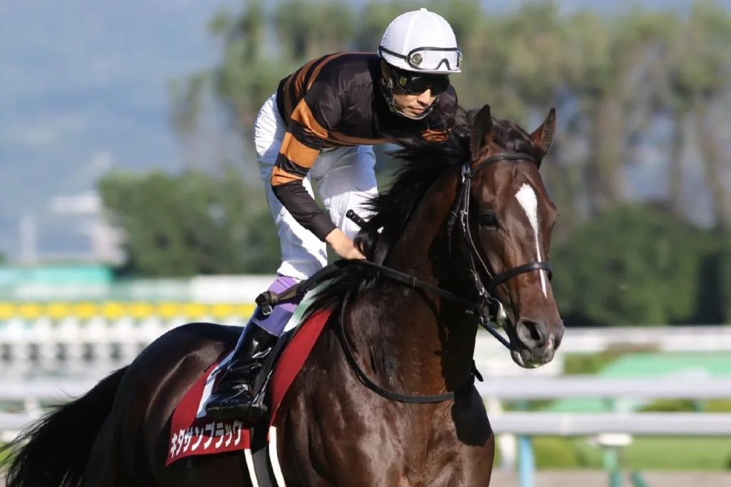 【天皇賞春2017結果】キタサンブラック連覇達成!G1・5勝目!