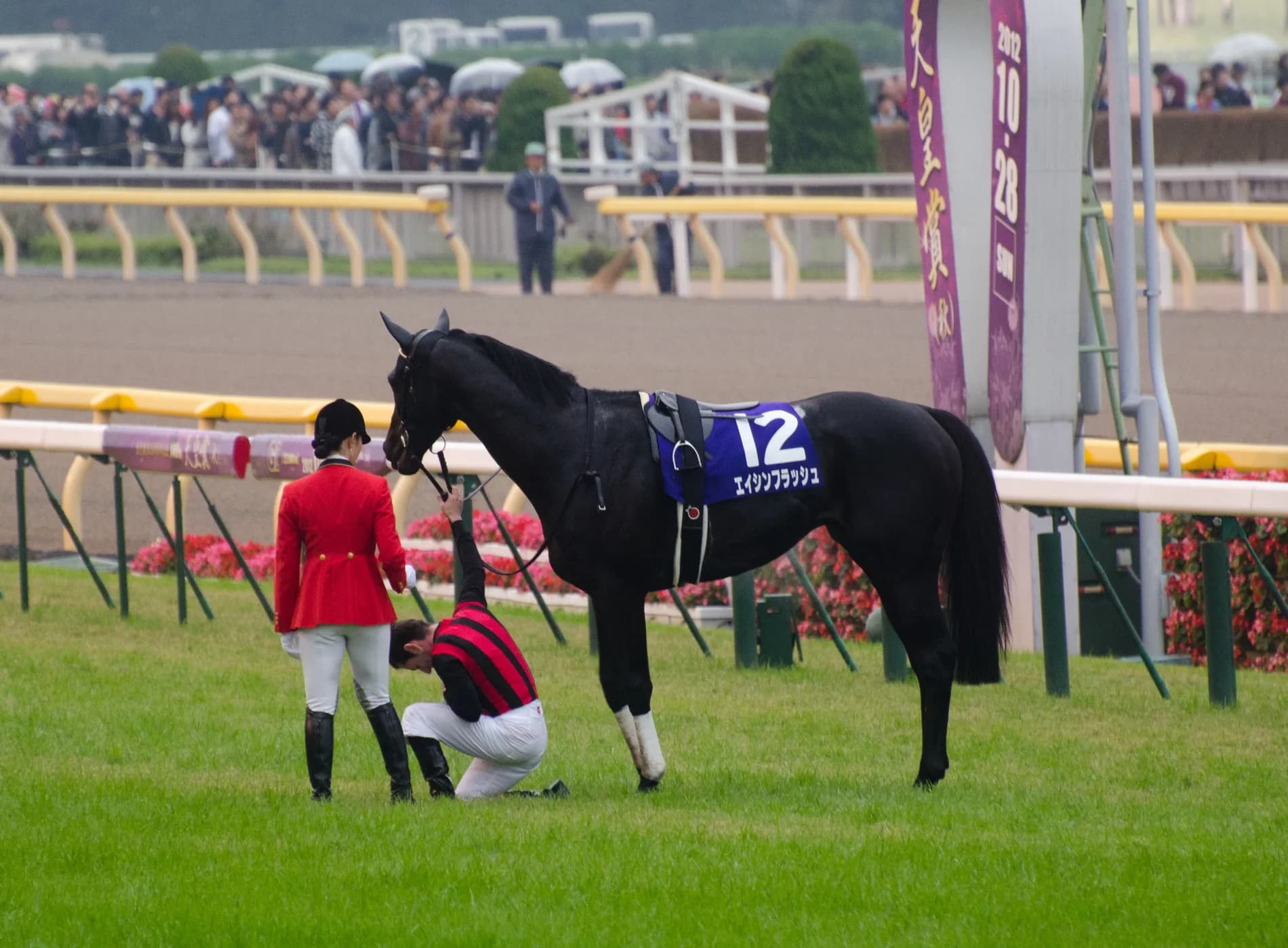 “漆黒のダービー馬”エイシンフラッシュ、種牡馬としても復権なるか?