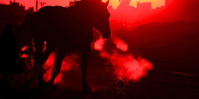 【小倉記念2018予想】夏は得意のサンマルティン、いち早く小倉入りし臨戦態勢はバッチリ!