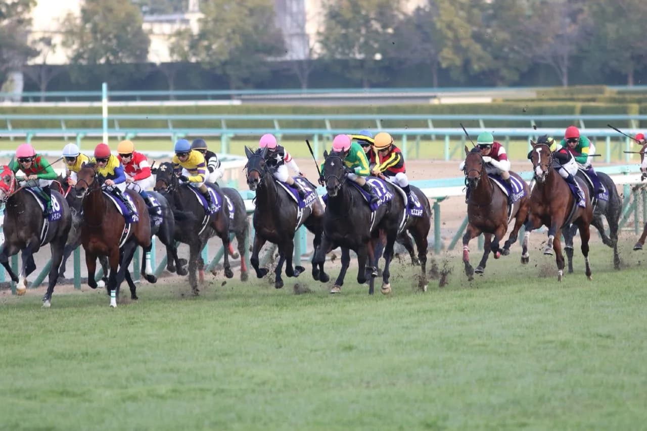 【スプリングS予想2017】ハイレベルな前走を快勝した急成長のトリコロールブルーが初重賞もなんなく突破へ!