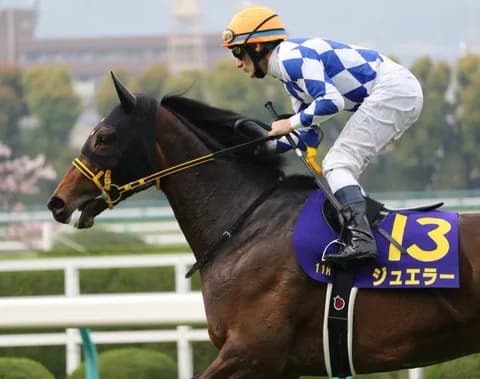 ジュエラー引退、繁殖牝馬に。骨折判明で復帰は叶わず