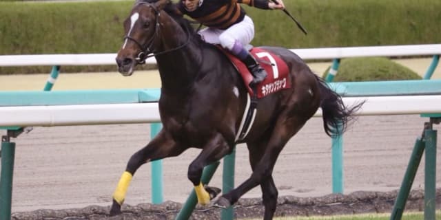 キタサンブラック宝塚記念後は愛チャンピオンS登録へ。鞍上武豊はどうなる?