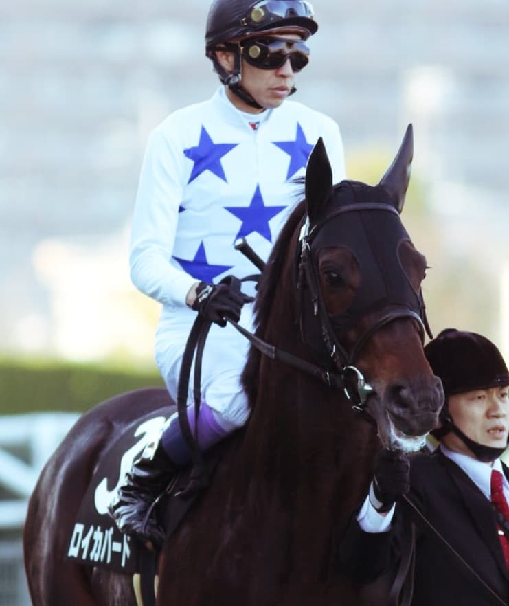 2億5200万円の良血ロイカバード、種牡馬入り