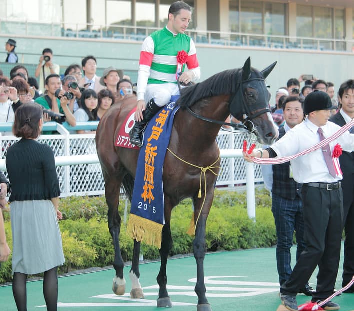 リアファル、右前脚怪我で金鯱賞を回避