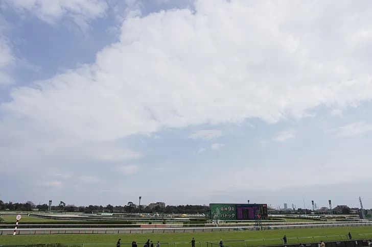 中山競馬場の”ゴンドラ席”の魅力とは?