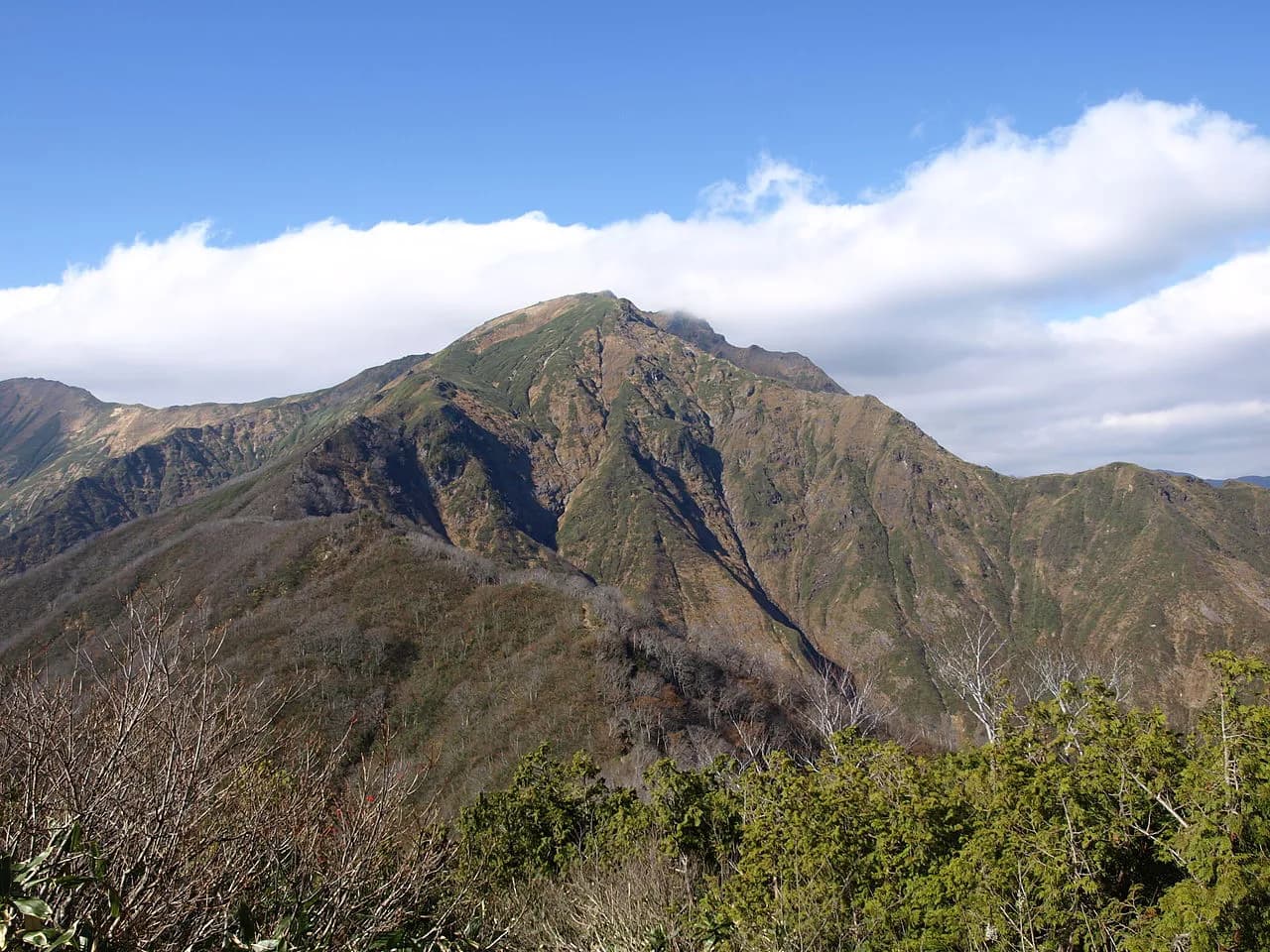 谷川岳ステークス、重賞には少し足りない馬が集結。