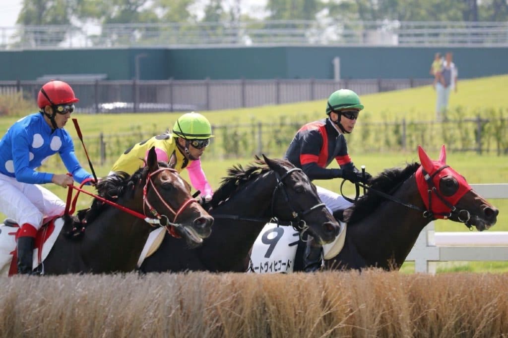 【東京ハイジャンプ2025予想】実力伯仲の三強対決、勝負を分けるのは“斤量”か“勢い”か?