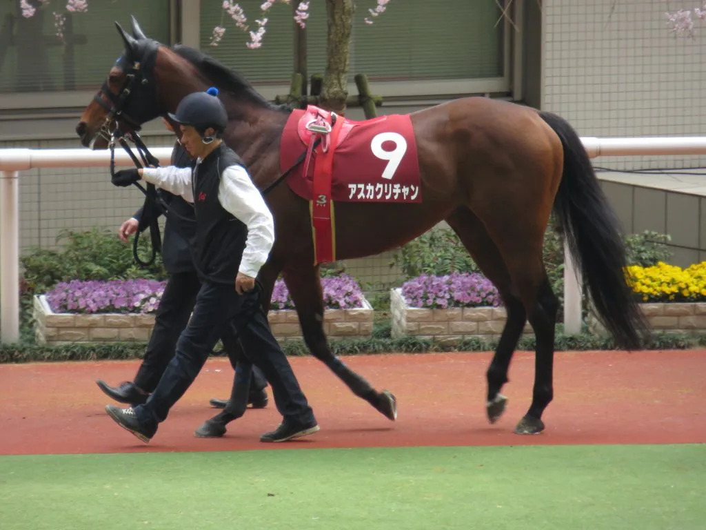 地味な血統もしっかり受け継ぐのが大事。