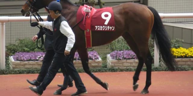 地味な血統もしっかり受け継ぐのが大事。