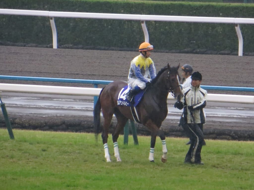 【阪神牝馬S予想2017】デニムアンドルビー反撃の狼煙あげるならここ!