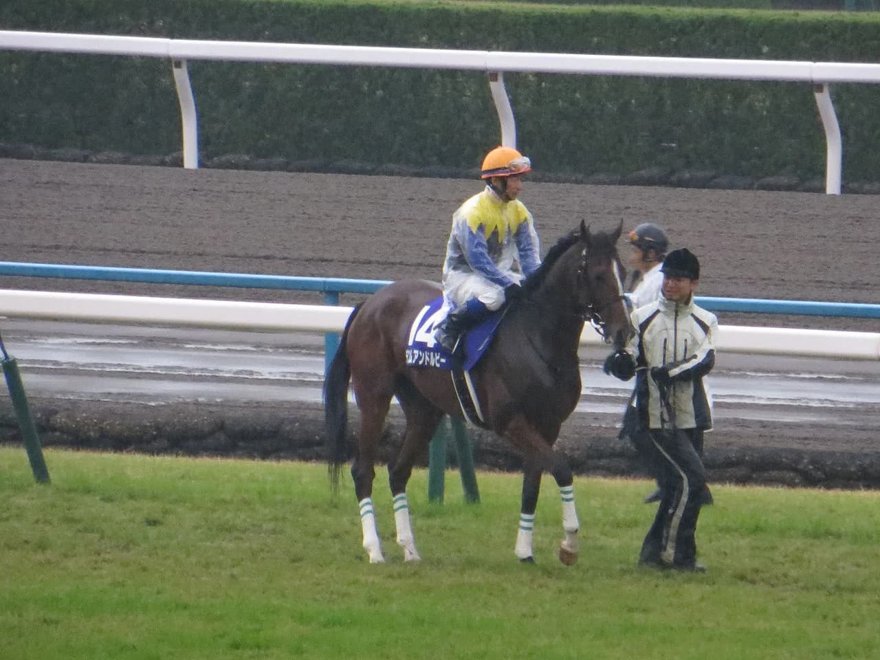 【阪神牝馬S予想2017】デニムアンドルビー反撃の狼煙あげるならここ!