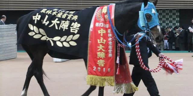 【中山大障害2022】王者オジュウチョウサンが最終追い切り、ラストランで有終の美へ