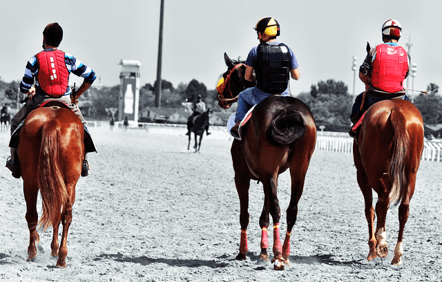 【JRA共同通信杯2025予想】春のビッグレースに繋がる3歳重賞、好走馬に共通するポイントを分析