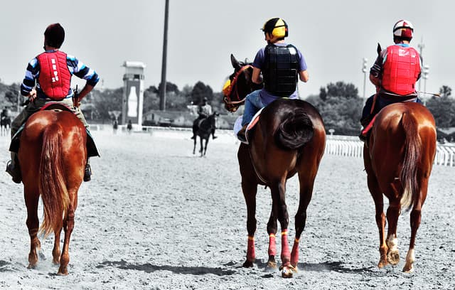 【ジャパンカップ予想2025】注目の外国人騎手コンビは?