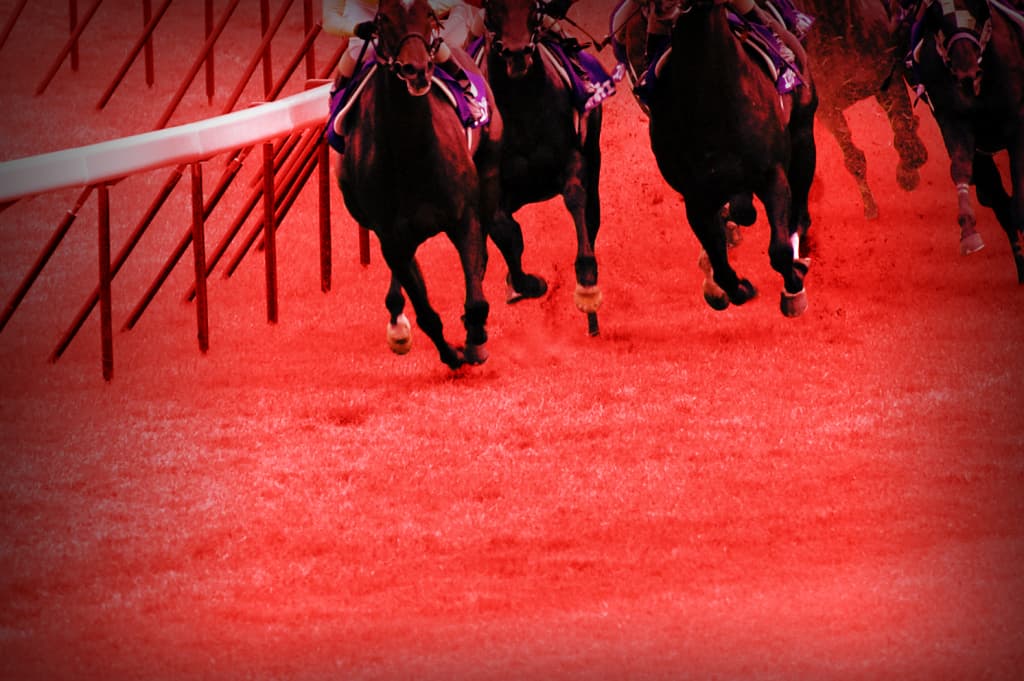 【福島牝馬S予想2019】波乱含みの牝馬限定戦!ランドネやフローレスマジックなど出走予定馬を考察