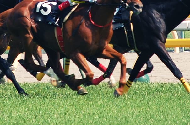 【京王杯2歳S2017】抜群のスプリント適性を持つタワーオブロンドン、完成度はすでに高い