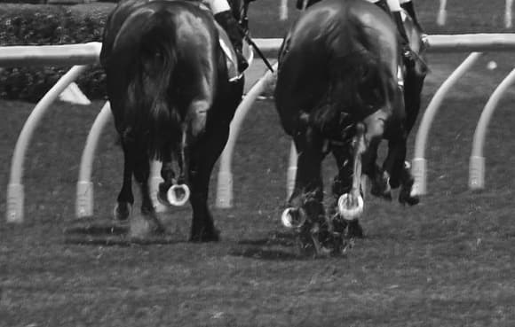 【メトロポリタンS2017】カフジプリンス、取りこぼしできない一戦