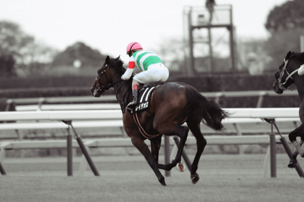 新種牡馬レイデオロの魅力とは?稀代の名牝による〝奇跡の血量〟も狙えるか