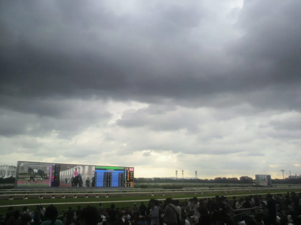 【平安S予想2017】ダート無敗の上がり馬グレイトパールの取捨は?