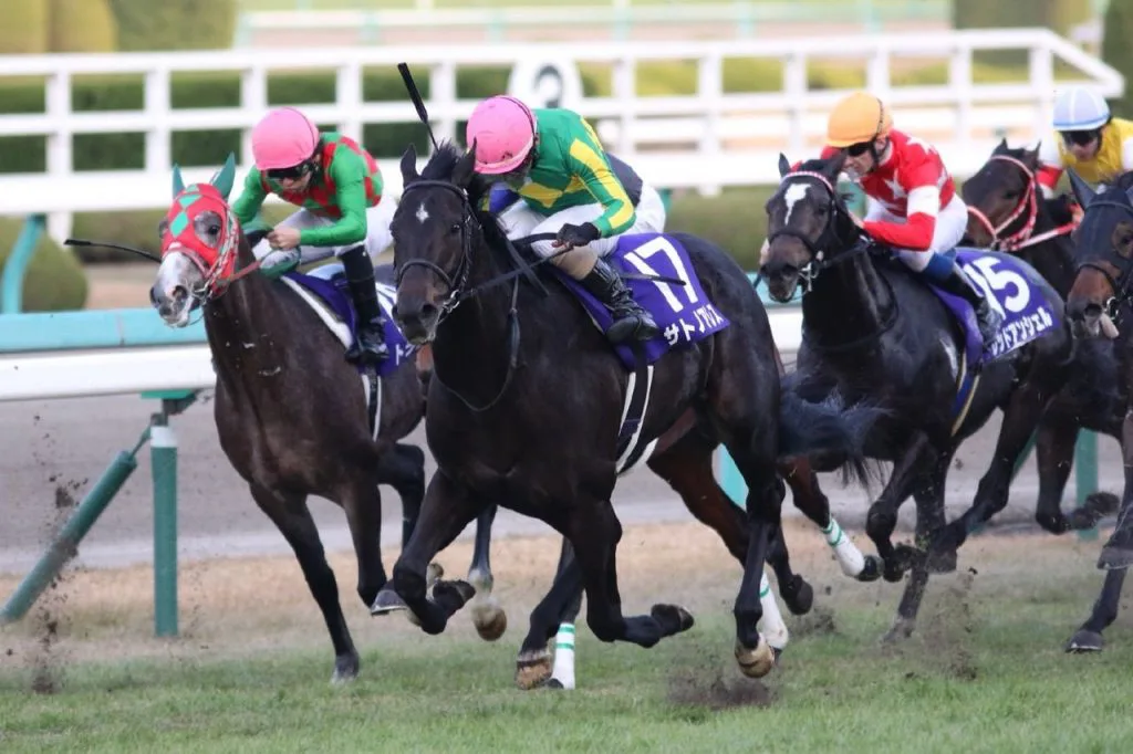 サトノアレスはダービー回避、今後はアメリカ遠征も視野に?