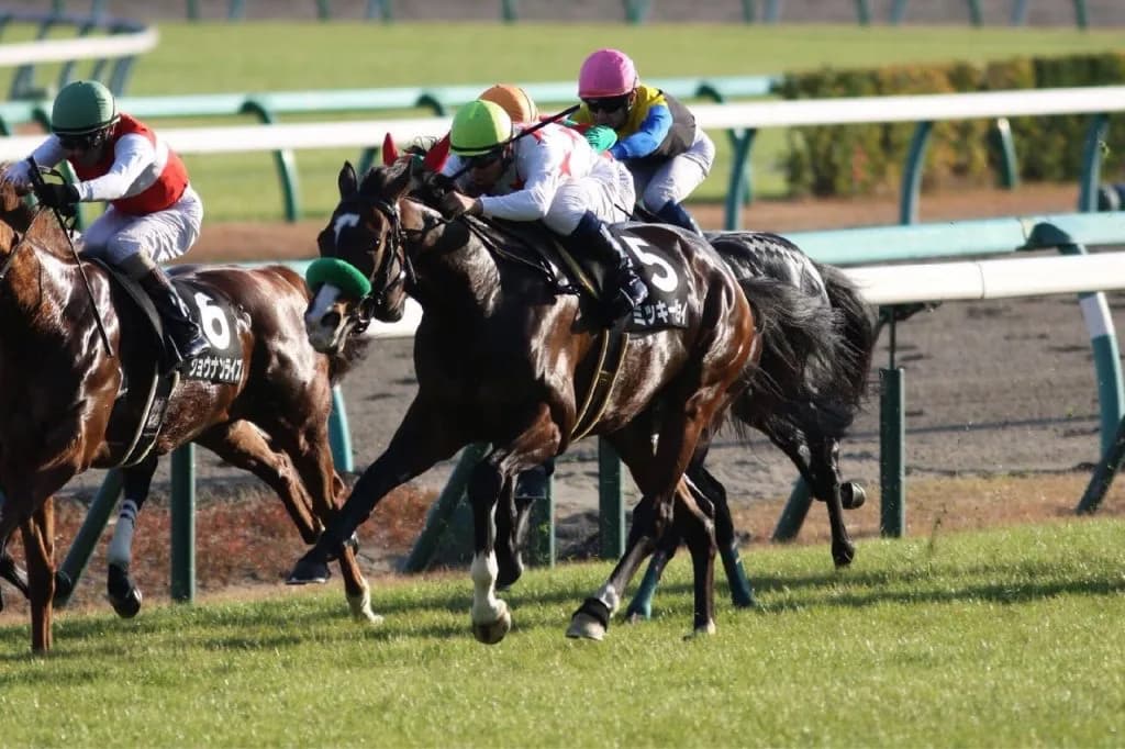 【都大路S予想2017】今週のミッキーはクイーンだけじゃない!