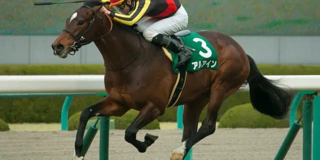 【セントライト記念2017】一本被りのアルアイン、再び“圧勝劇”を演じるのか?