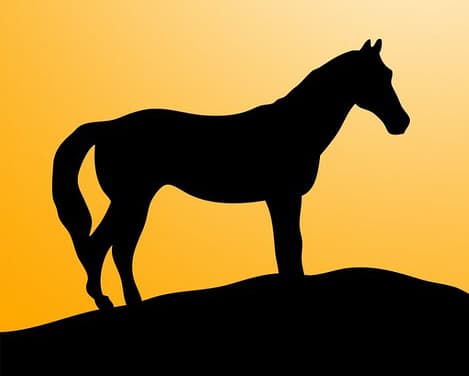 今度は5億8000万円だ!セール史上2位のディープインパクト産駒を近藤利一氏が落札!