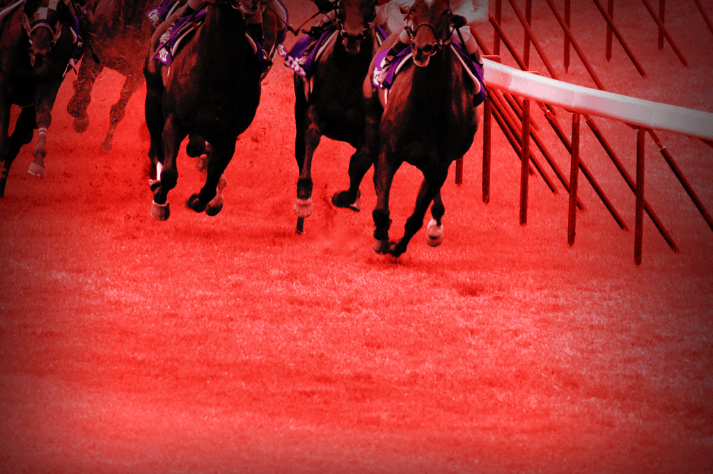 【アルゼンチン共和国杯2019予想】オススメの穴馬2頭はコレだ!